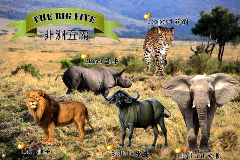 The Big Five copy